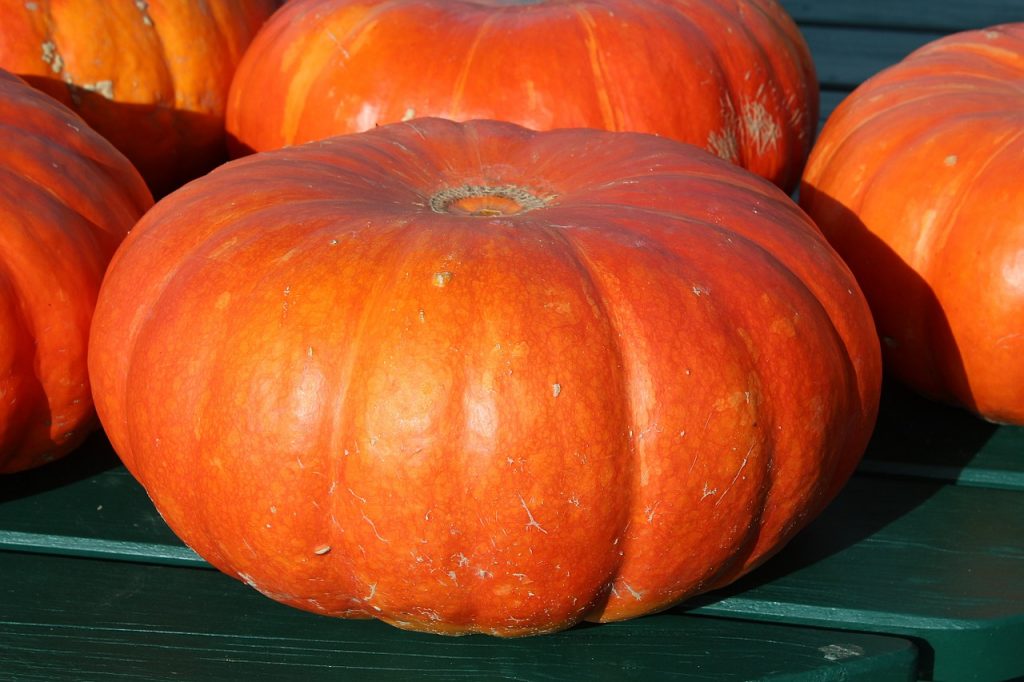 pumpa