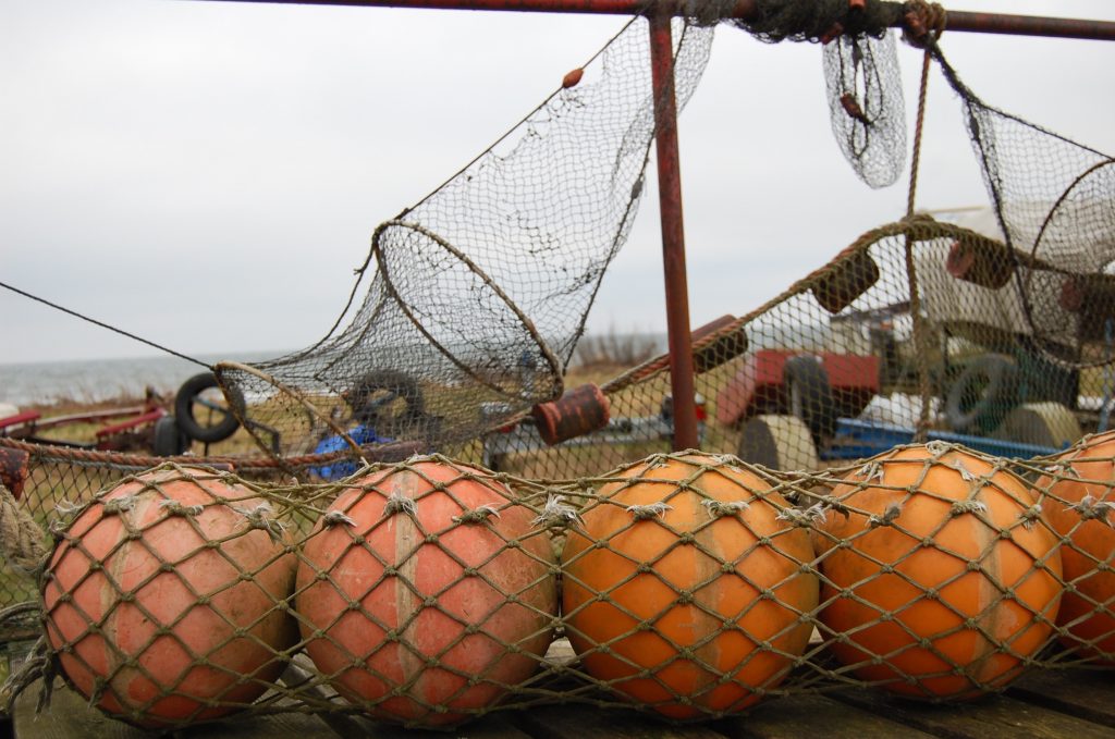 I Abbekås vittnar yrkesfiskare om både färre och magrare torskar i näten. 