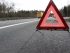 I Skåne sker i genomsnitt mer än sex viltolyckor per vägmil varje år, vilket är en av de högsta siffrorna i landet.