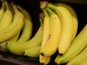 Skurup satsar på Fairtrademärkta bananer