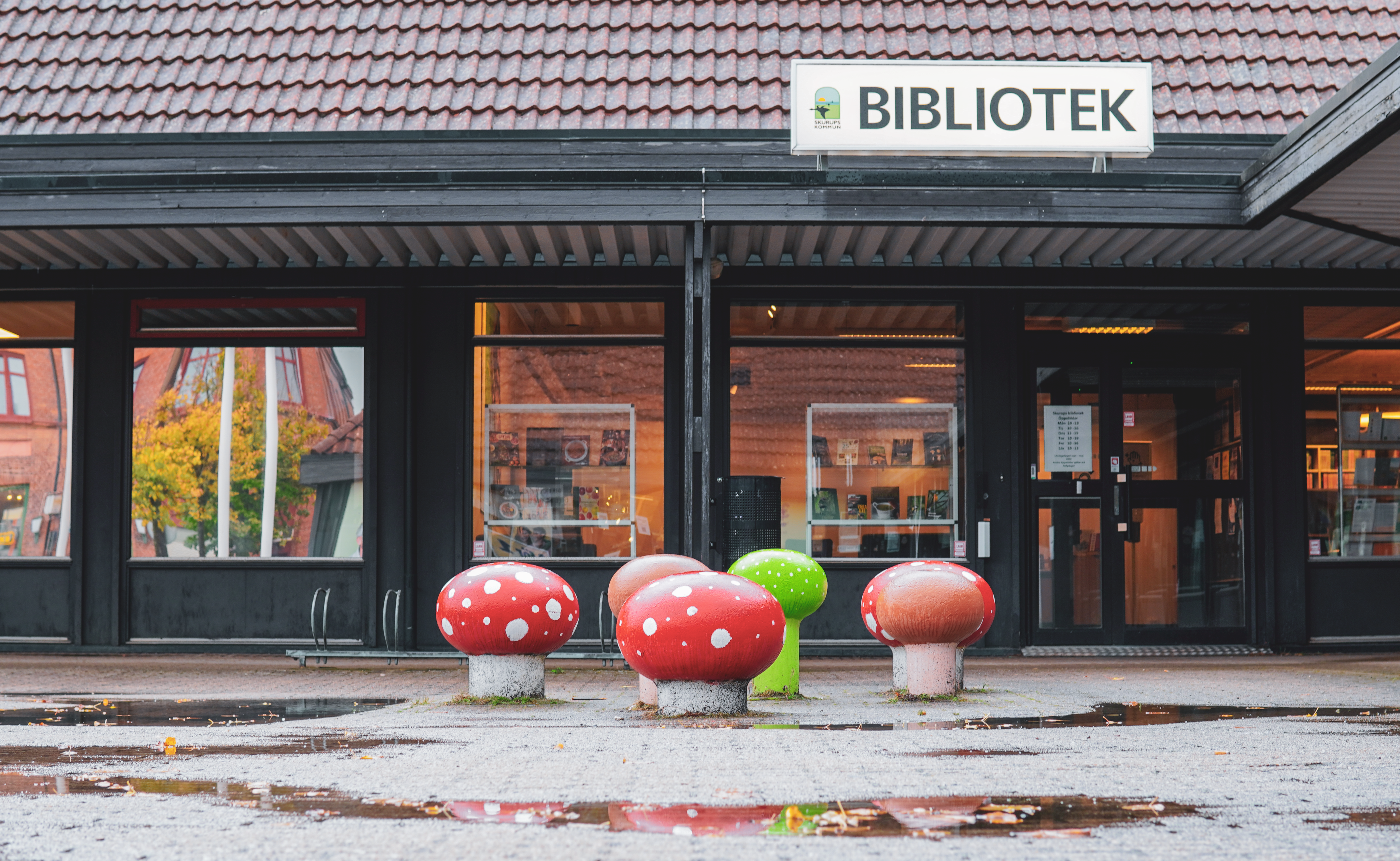 Under våren kommer det bli fler författarbesök på Skurups Bibliotek. Foto: Ludwig Bergman.